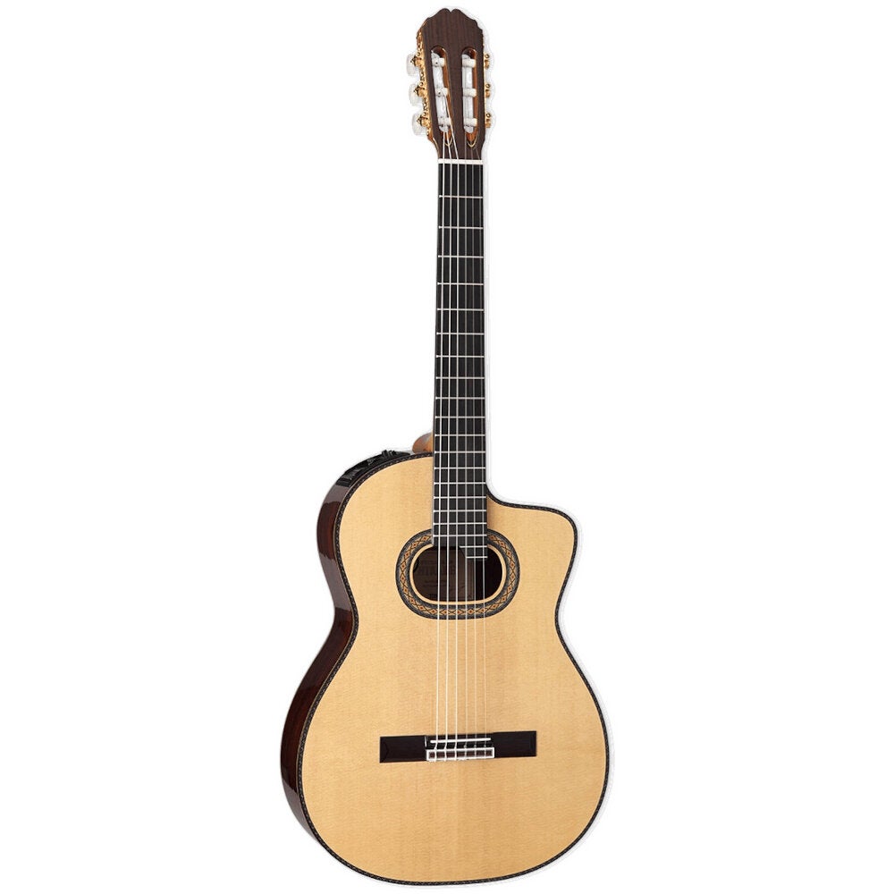 Takamine DH90 Hirade Gloss Natural