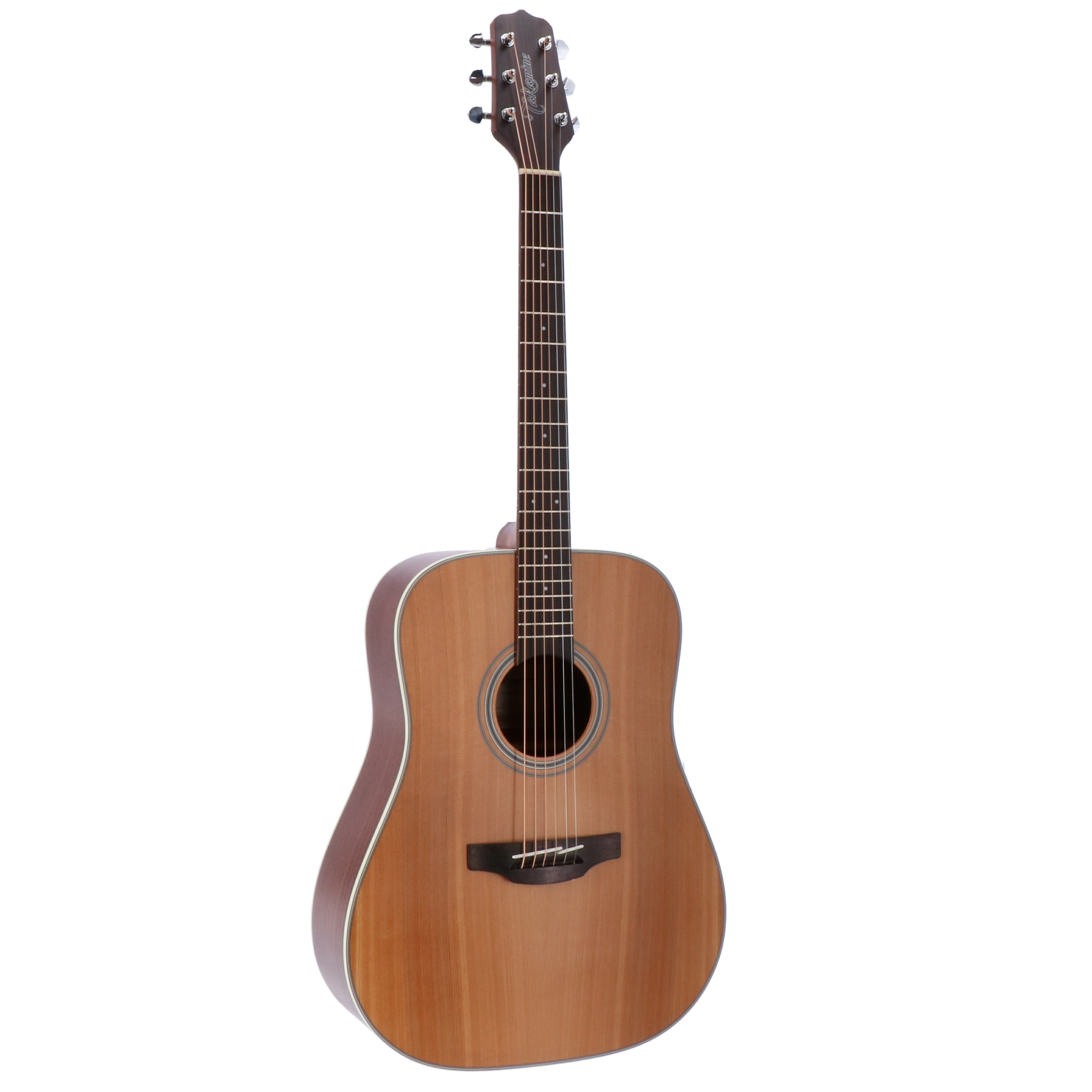 Takamine GD20-NS